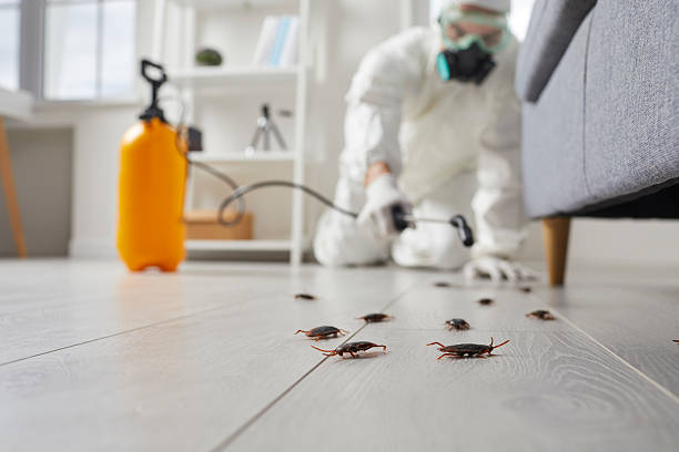 Trusted Fumigation Services service in Calvert City, KY - Nex Pest Control