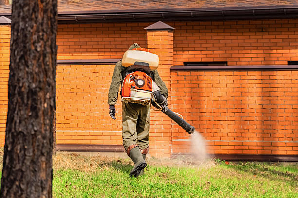 Trusted Bed Bug Control service in Calvert City, KY - Nex Pest Control